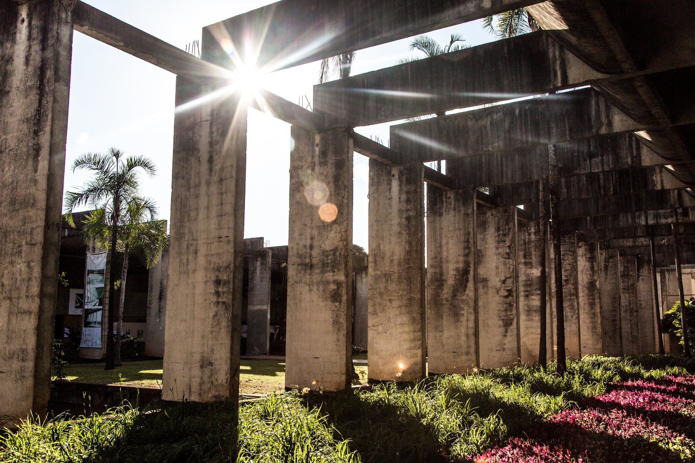Fileiras de pilares de concreto manchados sob vigas pesadas, contra o sol baixo do fim de tarde, com palmeiras e um jardim crescendo entre eles.